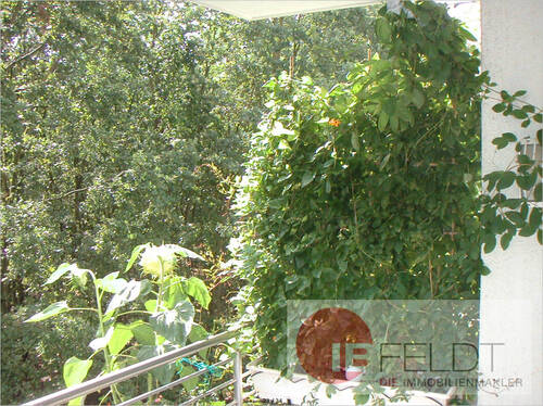 Blick vom Balkon in den Wald - Etagenwohnung mit 77,00 m² in Seddiner See / Neuseddin zum Kaufen