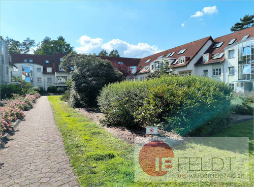 Der begrünte Innenhof - 