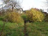 Der Garten - 