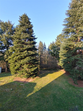 Blick in den Garten vom WZ - 