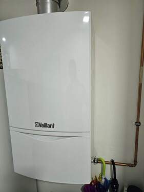 PHOTO-2026-01-22-13-07-23 9.jpg - 