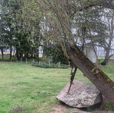 Garten - 