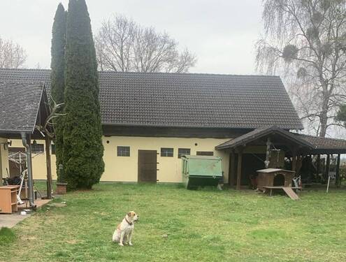 Hinteransicht - 
