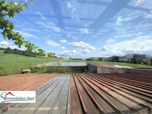 Ausblick Wintergarten in die Ferne - 