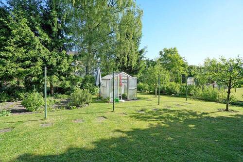 Blick in den Garten - 