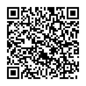QR-Code - 