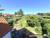 Blick in den Garten - 