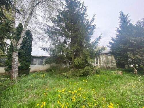 Blick auf die hintere Bebauung (Abriss).jpg - Grundstück in Petershagen/Eggersdorf zum Kaufen