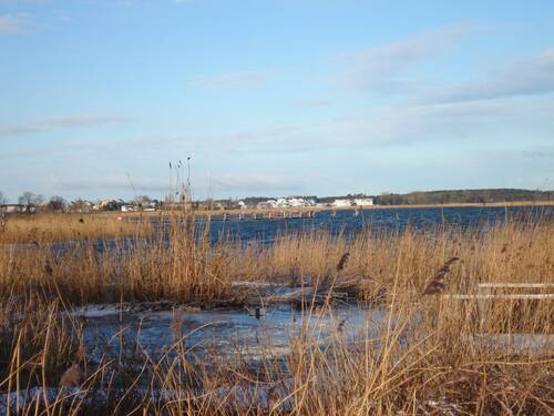 DSC01051 - 