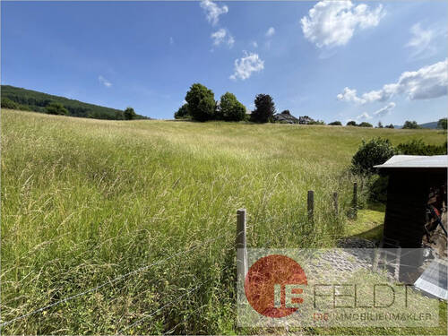 Ansicht auf das Feld hinterm Haus - 