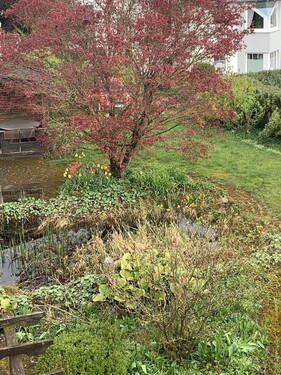 Gartenteich - 