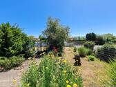 Blick von der Terrasse - 