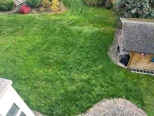 Garten - 1 Zimmer Mehrfamilienhaus, Wohnhaus zum Kaufen in hanau