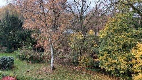 Aussicht-Gemeinschaftsgarten.jpg - 