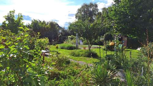 Garten im Sommer - 