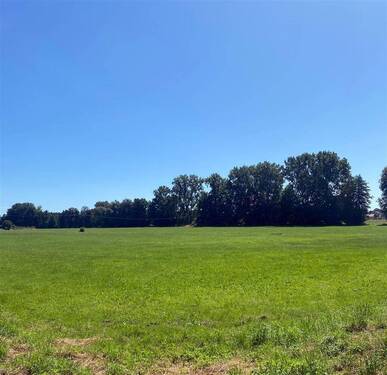 Blick aus dem Garten - 