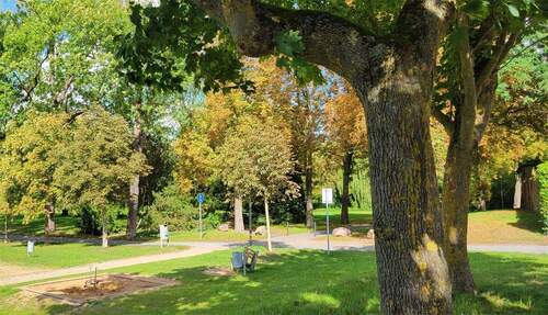 Blick ins Grüne vor der eigene - 