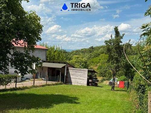 Blick in den Garten - 