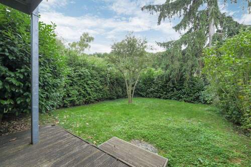Blick in den Garten - 