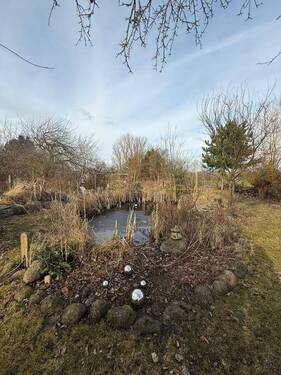 Grundstück mit Teich - 