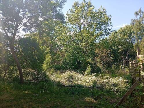 1747038676889(1).jpg - 