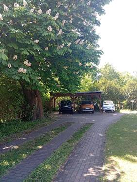 1747034020697(1).jpg - 