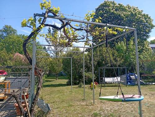 1747038603396(1).jpg - 