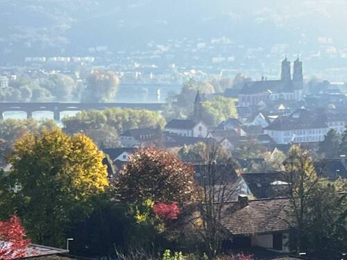 Aussicht - 2 Zimmer Etagenwohnung zur Miete in Bad Säckingen