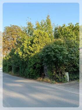 Mühlenbeck-Mönchmühle - Baugrundstück - Grundstück zum Kaufen in Mühlenbecker Land