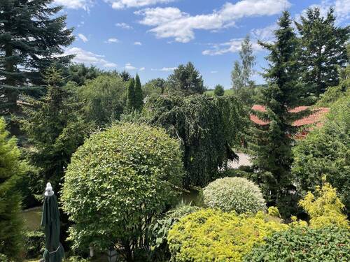 Blick in den Garten - 