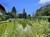 Blick in den Garten m. Teich - 