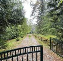 Mitten im Wald: Großzügiges Einfamilienhaus für Jung und Alt mit viel Privatsphäre - Grambek