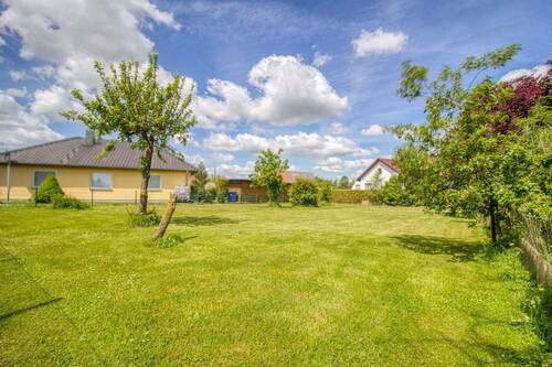 Garten IV - 