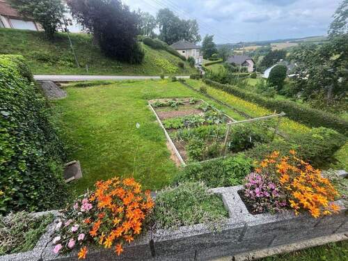 Garten / Baugrundstück - 