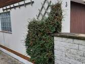 Garage - 