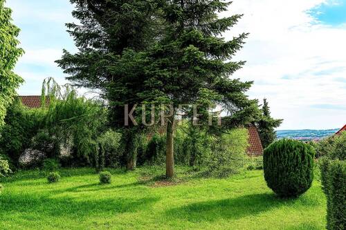 © KI Grundstück Forchheim - Grundstück zum Kaufen in Forchheim