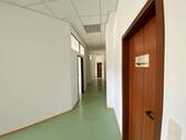 Flur - 8 Zimmer Büro zur Miete in Plauen