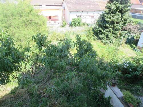 DG: Garten - Blick vom Balkon - 