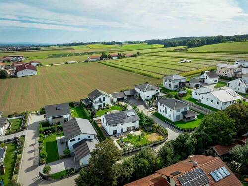 Ausblick - 