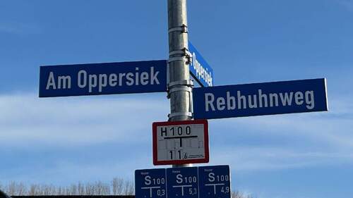 in Steinheim - 
