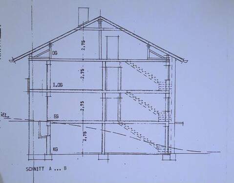 Schnitt - 