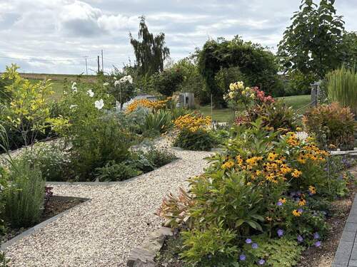 Garten - 3 Zimmer Bungalow in Asbach