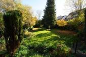 Blick in den Garten - 