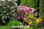 Bild 13 - 