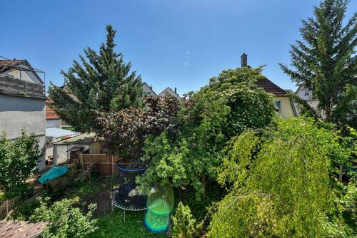 Blick in den Garten - 