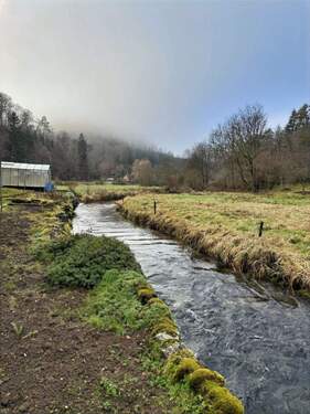 Leben am Wasser - Einfamilienhaus mit 104,00 m&sup2; in Sigmaringen zum Kaufen