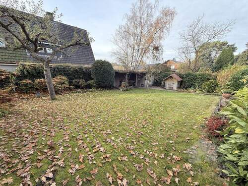 große Rasenfläche - 