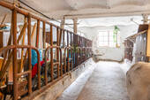 ehemaliger Kuhstall - 