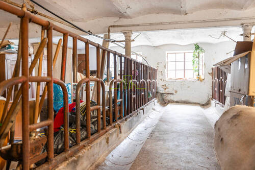 ehemaliger Kuhstall - 