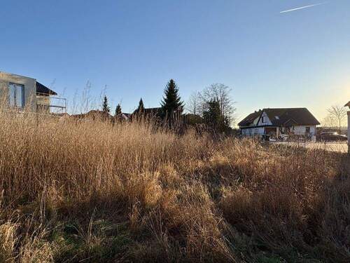 Grundstück Blickrichtung Süden - Grundstück in Grimma / Wetteritz